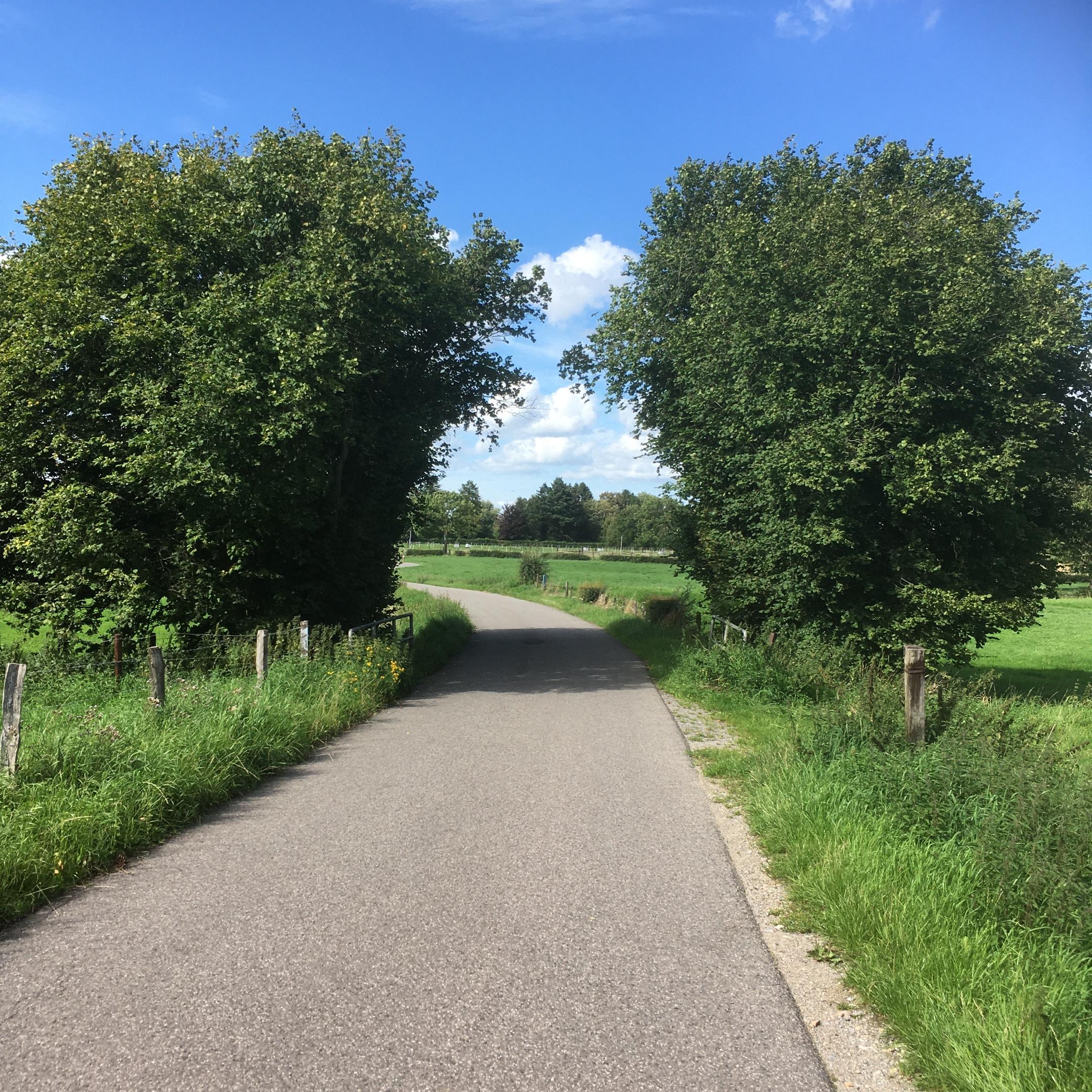 Pilgerstraße