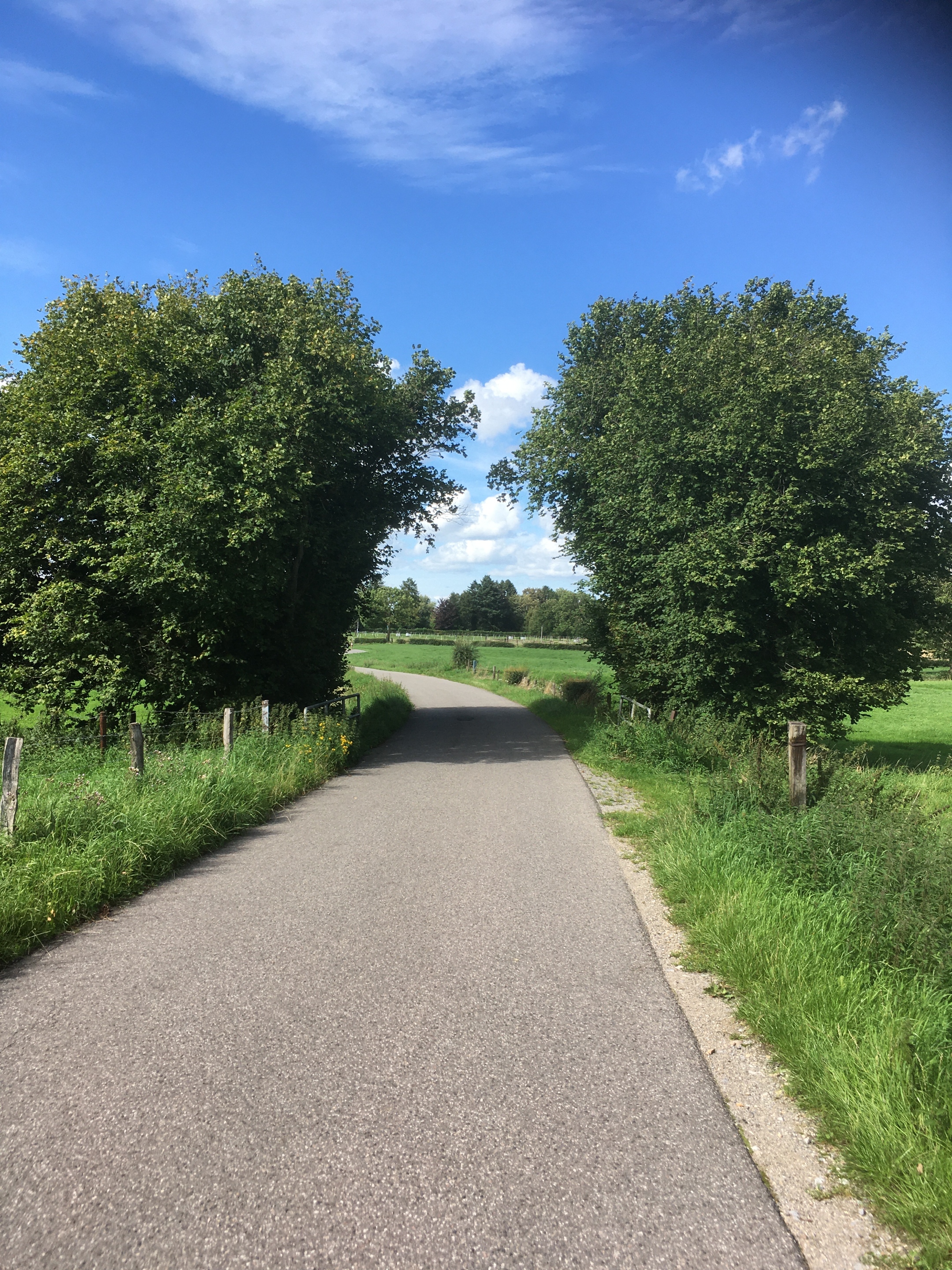 Pilgerstraße