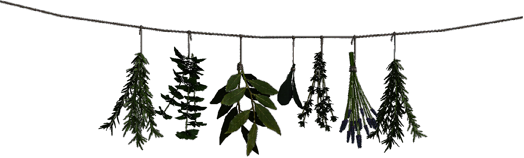 Kräutergirlande-Artikel Kräutersegnung