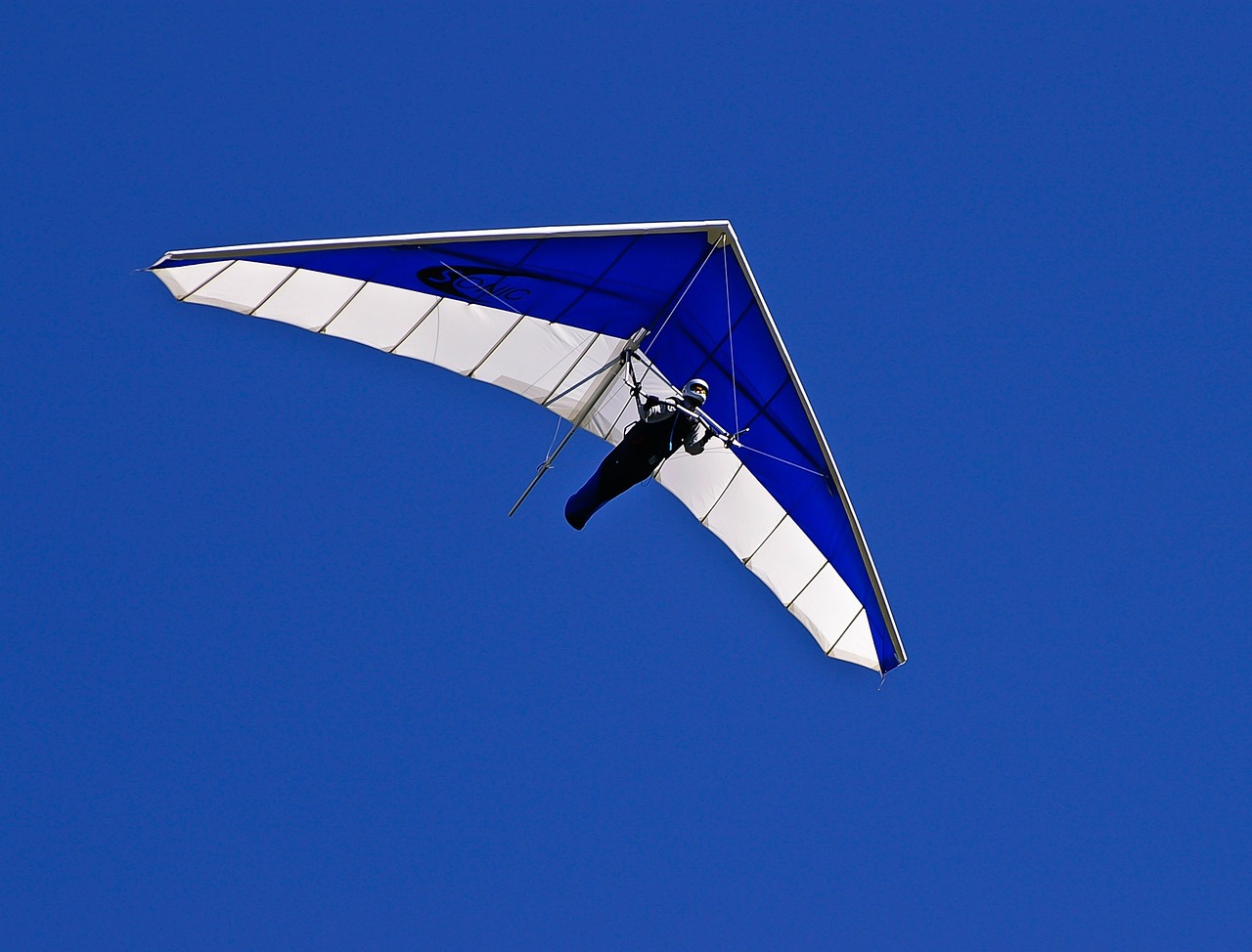 250219-glider
