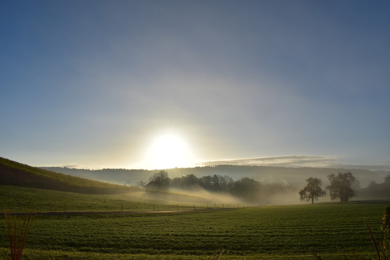250224-landscape
