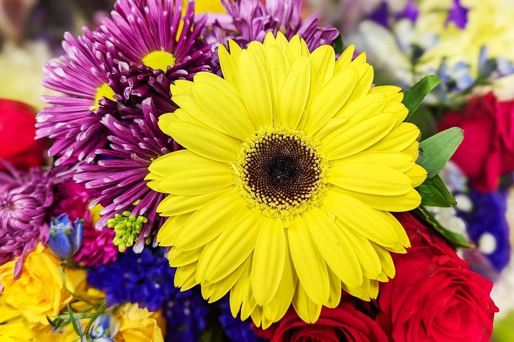 flowers