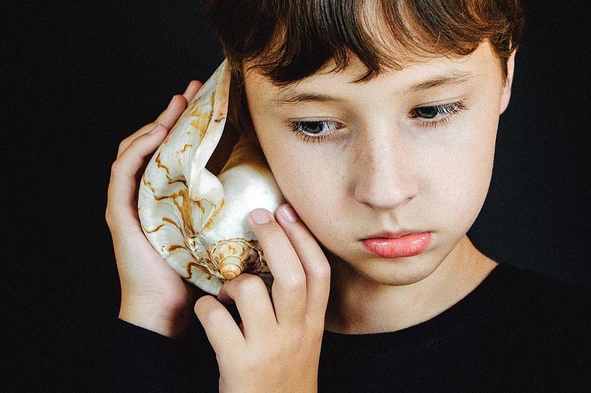 seashell