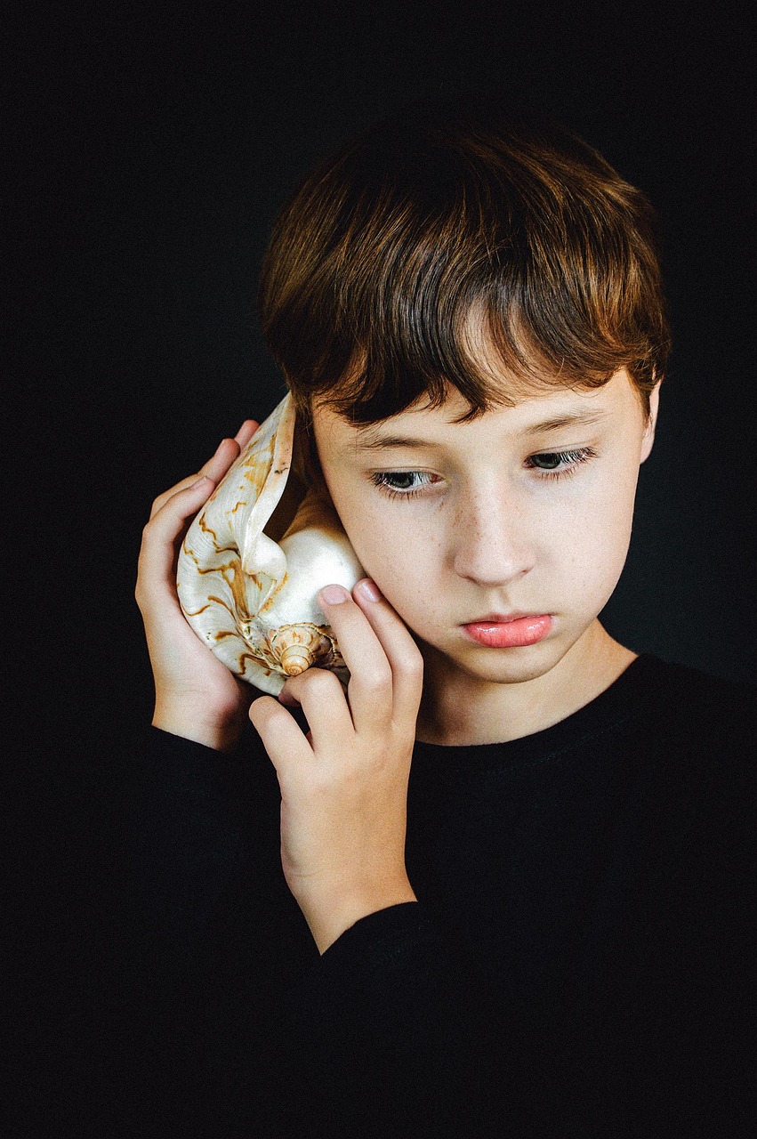 seashell