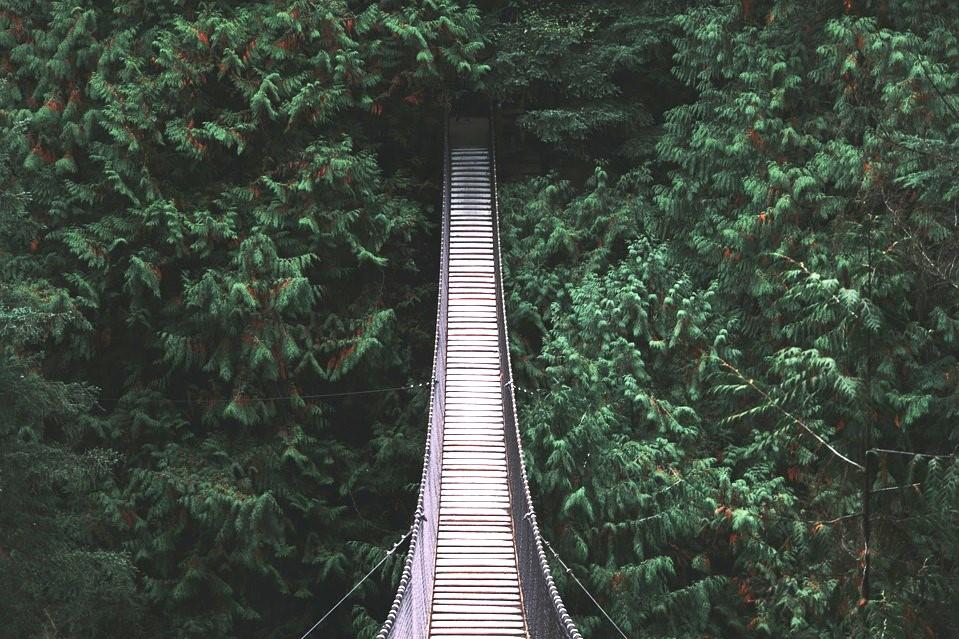 250622-lynn-canyon