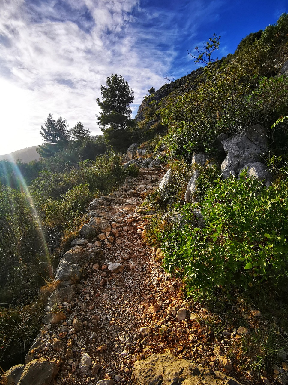 250823-path