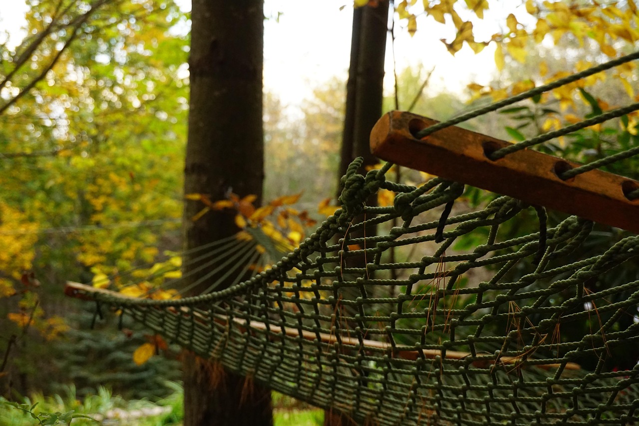 250903-hammock