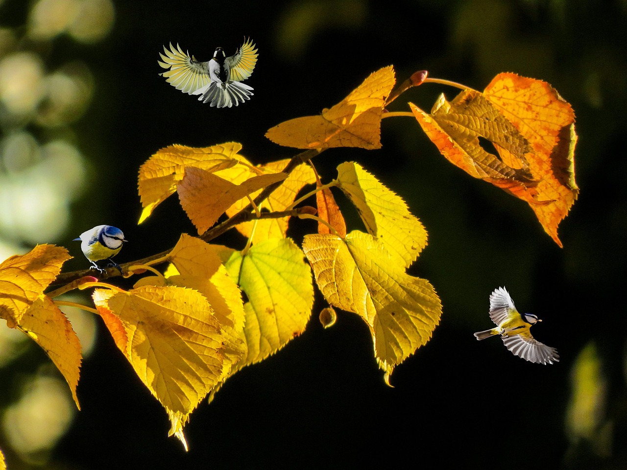 251003-nature