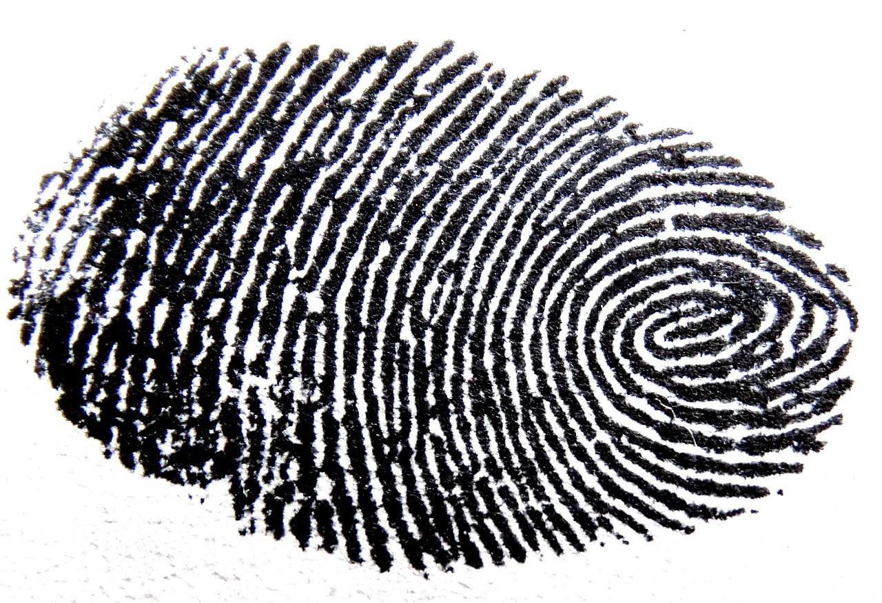 251118-fingerprint