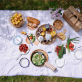 Picknick